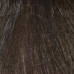 Add On Center Topper by Envy | Heat Friendly/Human Hair Blend Piece (Monofilament Base)