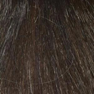 Add On Left Topper by Envy | Heat Friendly/Human Hair Blend Hair Extension (Monofilament Base)