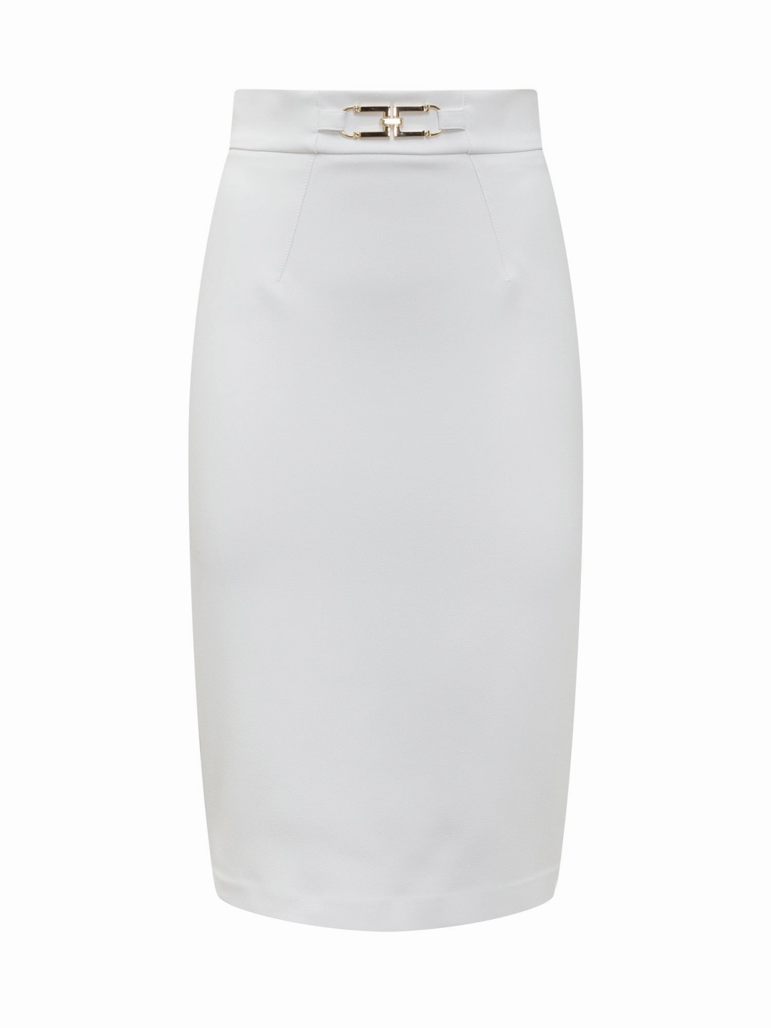 Elisabetta Franchi Logo Plaque High-Waisted Skirt