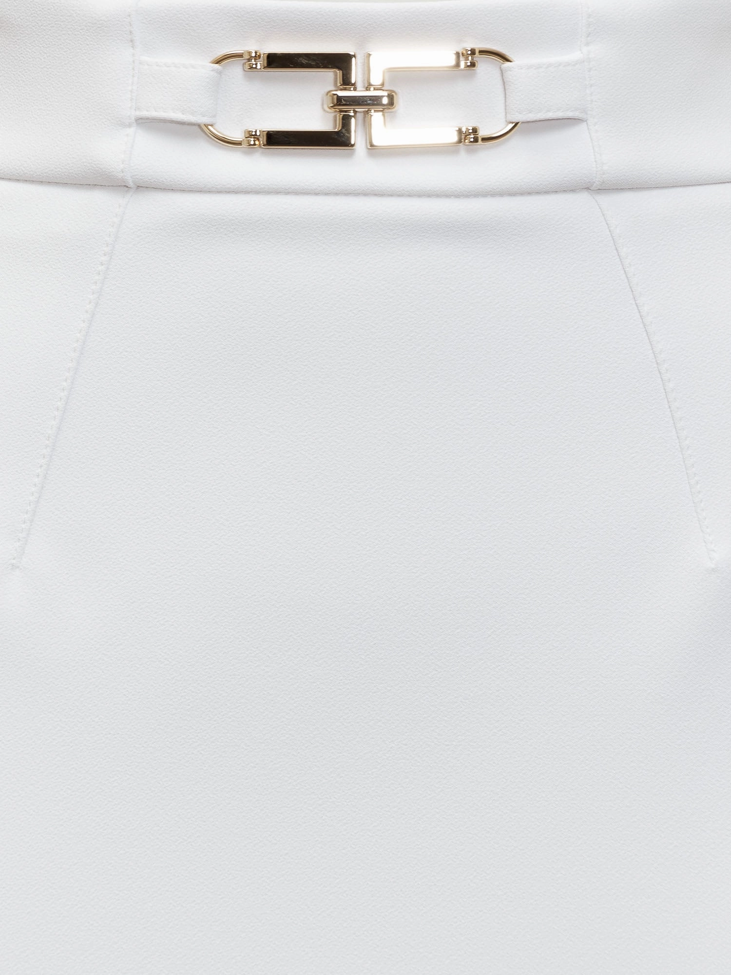 Elisabetta Franchi Logo Plaque High-Waisted Skirt
