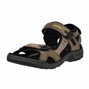 Men's Offroad Yucatan Hiking Sandal - Tarmac/Moon Rock