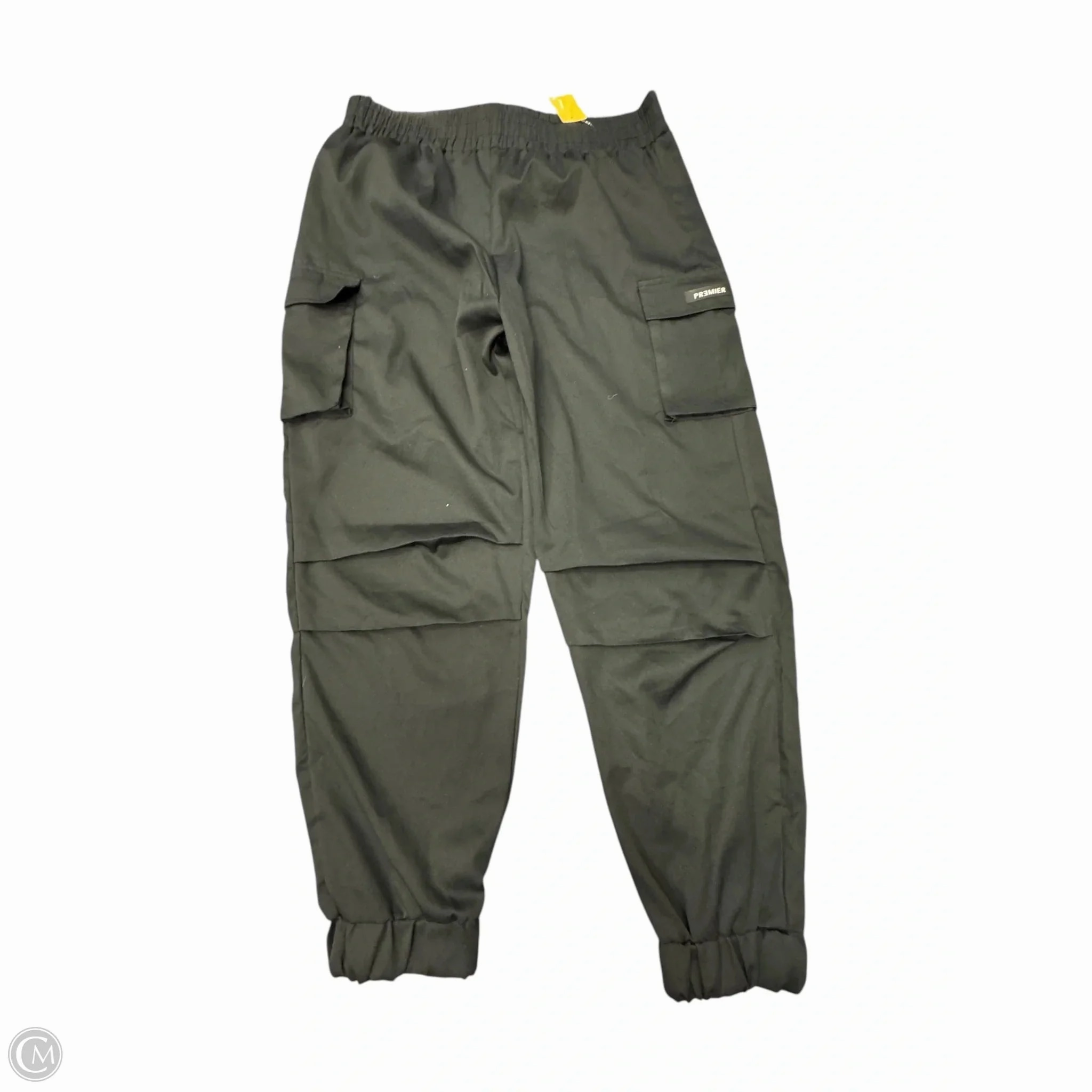 Pants Cargo & Utility By Premier Designs In Black, Size: 20