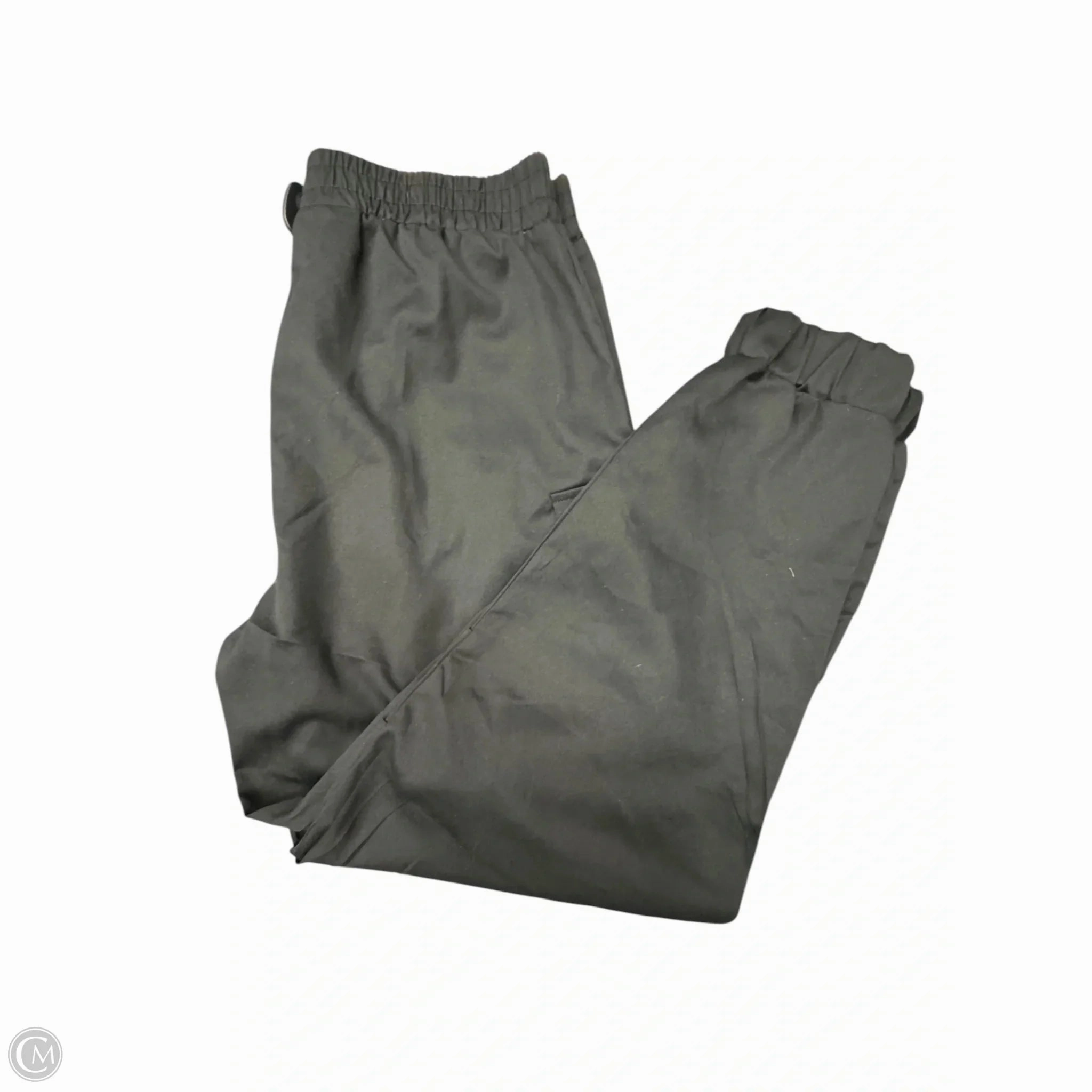 Pants Cargo & Utility By Premier Designs In Black, Size: 20