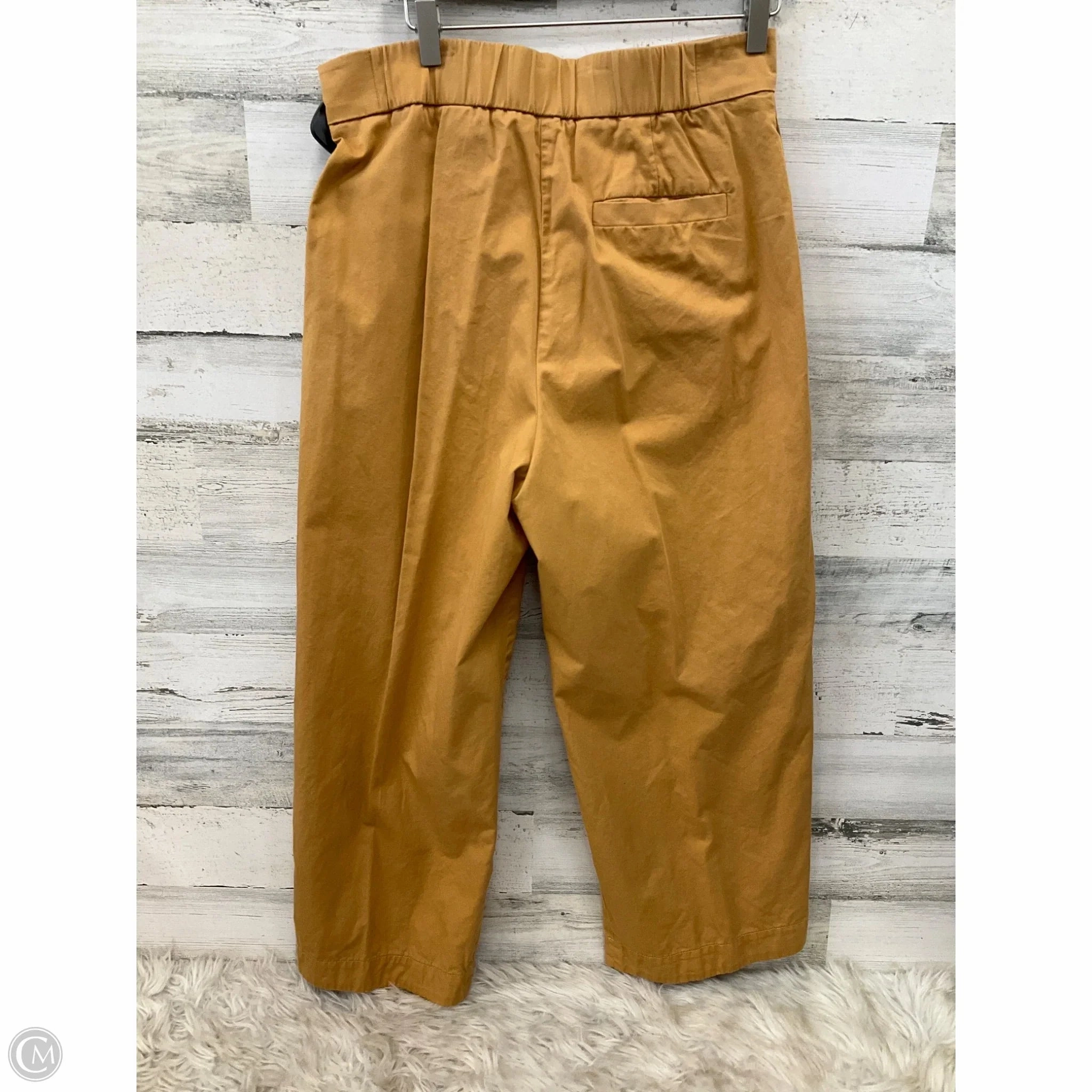 Pants Wide Leg By Cos In Gold, Size: 10