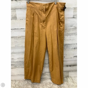 Pants Wide Leg By Cos In Gold, Size: 10