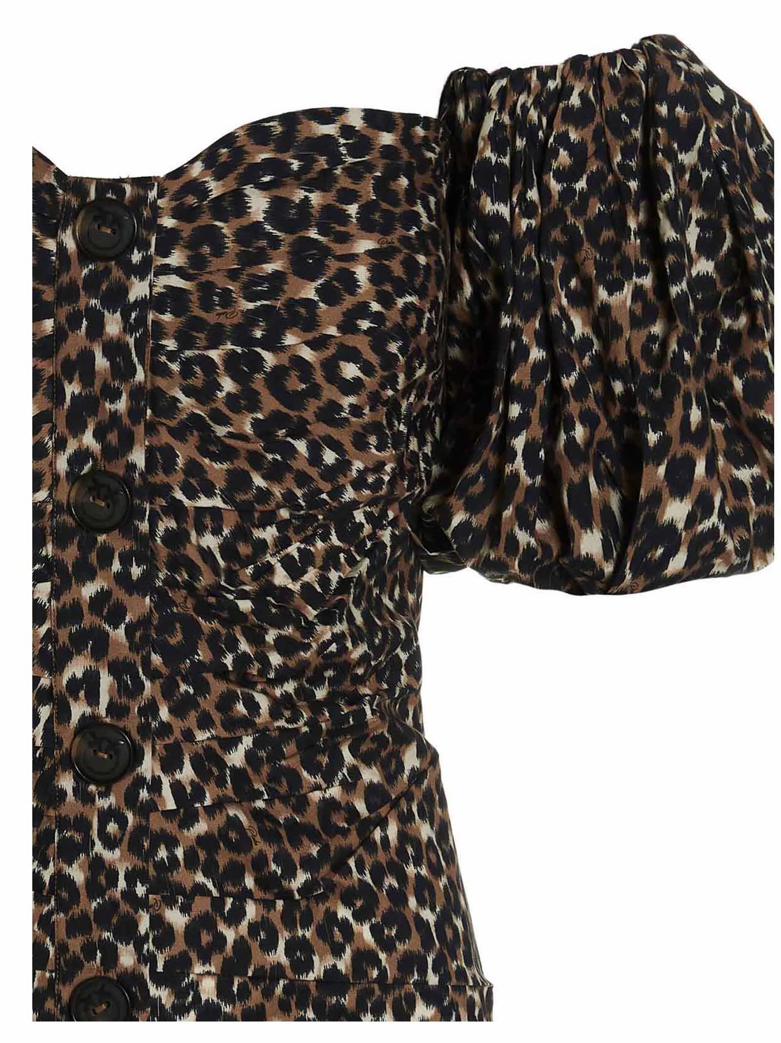 Pinko Leopard Print Mini Dress