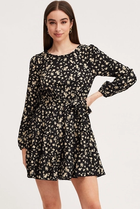 Print Mini Dress Long Sleeve Round Neck